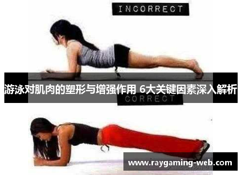 游泳对肌肉的塑形与增强作用 6大关键因素深入解析